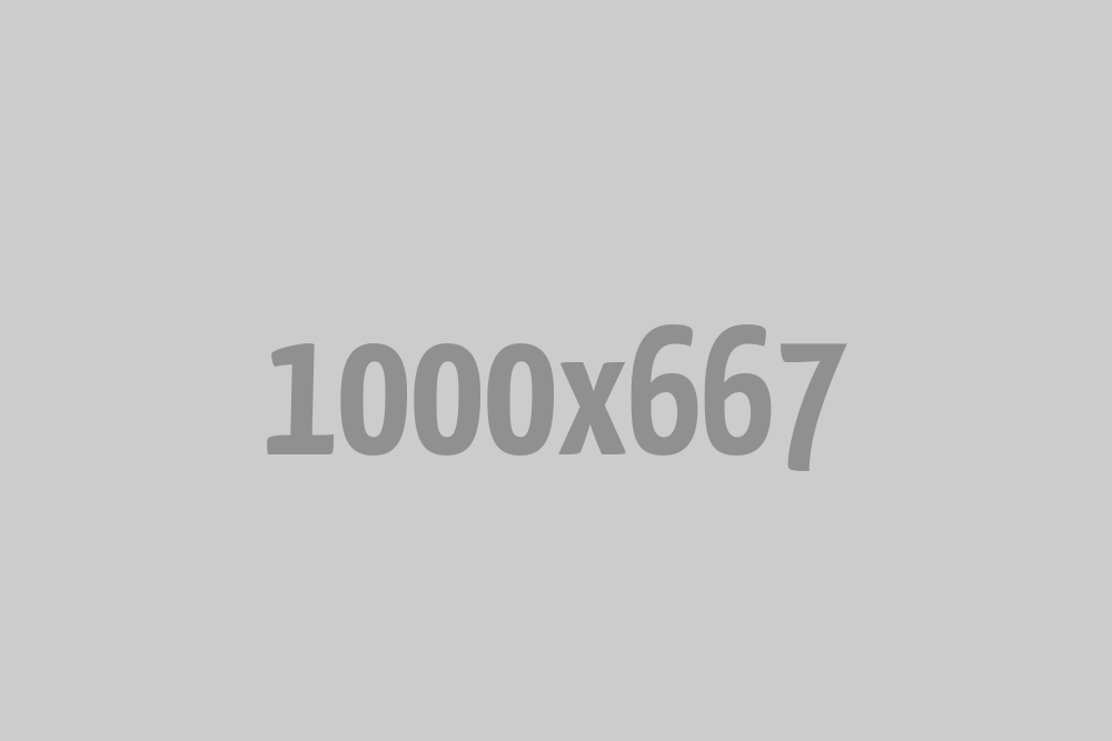 Mastering the Art of Networking